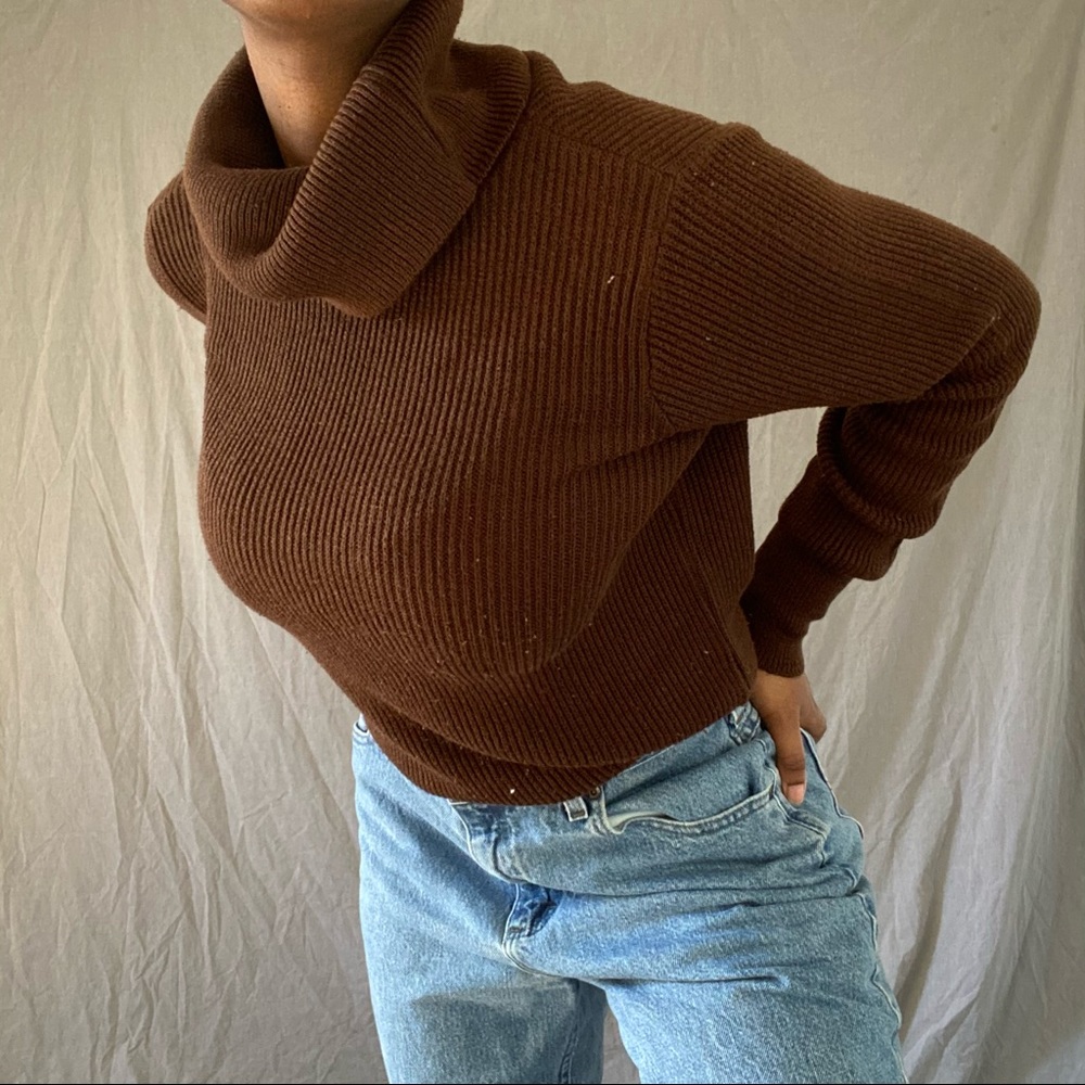 Madewell Brown Turtle Neck Sweater